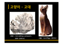 [서양미술사] 서양미술에 나타난 개와 고양이-19