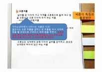 [한국고전독해] 각저소년전의 문화컨텐츠화(현대화) 방안-11