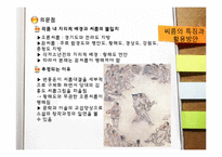 [한국고전독해] 각저소년전의 문화컨텐츠화(현대화) 방안-12