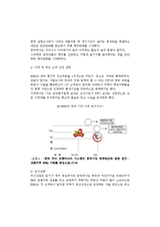 [국제경영] BBQ의 해외 진출 사례 분석-6