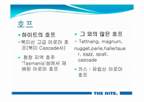 [식품저장및가공학] 전주 하이트(hite) 맥주공장-14