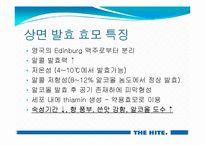 [식품저장및가공학] 전주 하이트(hite) 맥주공장-16
