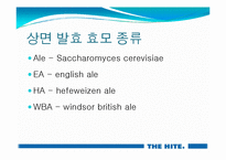 [식품저장및가공학] 전주 하이트(hite) 맥주공장-18