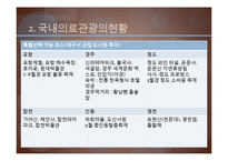 [국제관광론] 의료관광(Medical Tourism)-18