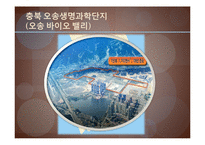 [국제관광론] 의료관광(Medical Tourism)-20