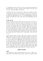 프로테스탄티즘의 형성과 성장(마틴루터와 존 칼빈을 중심으로)-20