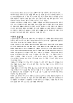 [노인복지론] 외국의 케어매니지먼트 실제조사-6