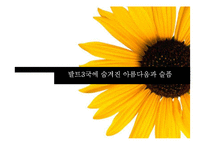 [유럽경제와문화] 발트3국의 사회, 경제, 문화 분석-1