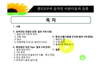 [유럽경제와문화] 발트3국의 사회, 경제, 문화 분석-2