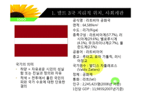 [유럽경제와문화] 발트3국의 사회, 경제, 문화 분석-6