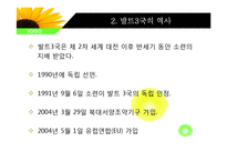 [유럽경제와문화] 발트3국의 사회, 경제, 문화 분석-9