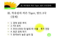 [유럽경제와문화] 발트3국의 사회, 경제, 문화 분석-11