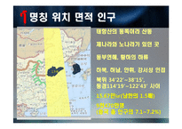 [중국정치론] 산둥성에 대한 정치적, 경제적 고찰-7