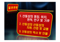 [중국정치론] 산둥성에 대한 정치적, 경제적 고찰-9