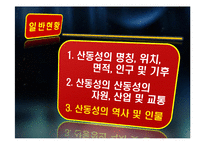 [중국정치론] 산둥성에 대한 정치적, 경제적 고찰-16