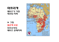 [국제정치학원론] 아프리카 에이즈문제와 국제사회의 지원-5
