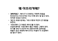 [국제정치학원론] 아프리카 에이즈문제와 국제사회의 지원-6