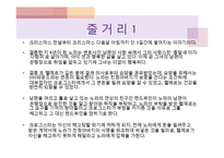 헨리크 입센의 인형의집 분석-7