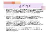 헨리크 입센의 인형의집 분석-8