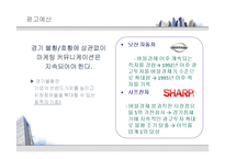 [현대사회와광고] 광고 예산-3