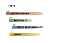 [정보체계론] 지역정보화(제주도 상예마을을 중심으로)-2