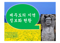 [정보체계론] 지역정보화(제주도 상예마을을 중심으로)-9
