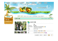 [정보체계론] 지역정보화(제주도 상예마을을 중심으로)-19