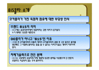 815콜라 마케팅실패사례분석과 마케팅전략제시 파워포인트-4