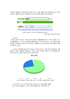 [마케팅] 포털사이트 Daum의 마케팅 전략분석 / 다음의 성공,실패 사례-12