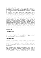 문학과 민중문학, 문학과 문학텍스트, 문학과 심미의식(심미성) 분석-3