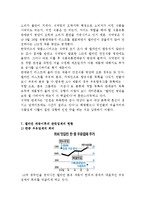 [식생활]건강한 식습관, 멜라민파동에 대처하는 우리의 자세-14