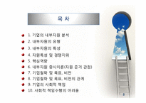 전략분석의 내부요소: 자원-2