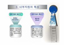 전략분석의 내부요소: 자원-6