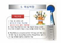 전략분석의 내부요소: 자원-9