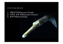 [레포트] 해양스포츠 스쿠버 다이빙 - PPT-8
