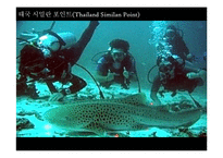 [레포트] 해양스포츠 스쿠버 다이빙 - PPT-14