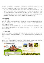[국제경영] 화장품 산업 분석(HERA(헤라)와 ESTEELAUDER(에스티로더)를 중심으로)-3