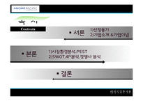 [해외직접투자론] 아모레 퍼시픽(AMORE PACIFIC)의 해외진출 전략-2