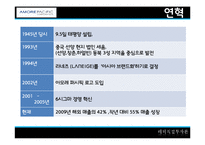 [해외직접투자론] 아모레 퍼시픽(AMORE PACIFIC)의 해외진출 전략-9