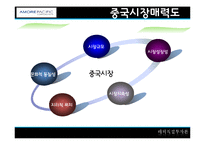 [해외직접투자론] 아모레 퍼시픽(AMORE PACIFIC)의 해외진출 전략-13