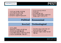 [해외직접투자론] 아모레 퍼시픽(AMORE PACIFIC)의 해외진출 전략-14