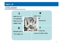 [국제경영] 화장품 산업 분석(HERA(헤라)와 ESTEELAUDER(에스티로더)를 중심으로)-14