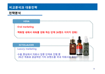 [국제경영] 화장품 산업 분석(HERA(헤라)와 ESTEELAUDER(에스티로더)를 중심으로)-18