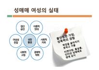 [여성과법] 성매매특별법의 시행 효과와 한계-14
