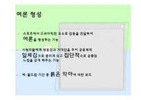 [언론저널리즘론] 스포츠 저널리즘-10