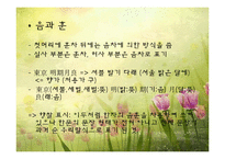 [한국문학의이해] 향가(서동요)-7