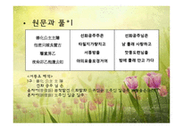 [한국문학의이해] 향가(서동요)-10