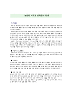 [국제마케팅] 농심 신辛라면의 중국 시장 진출 전략-2