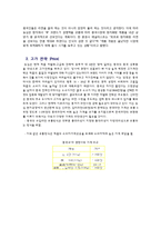 [국제마케팅] 농심 신辛라면의 중국 시장 진출 전략-6