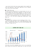 [국제마케팅] 농심 신辛라면의 중국 시장 진출 전략-9